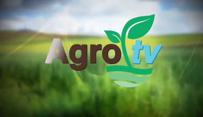 Agro Tv Canlı izle